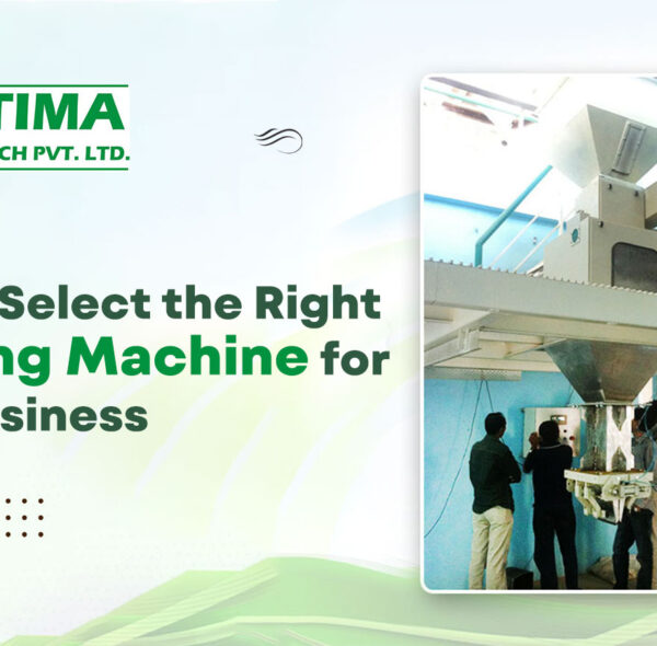 How to Select the Right Bagging Machine for Your Business